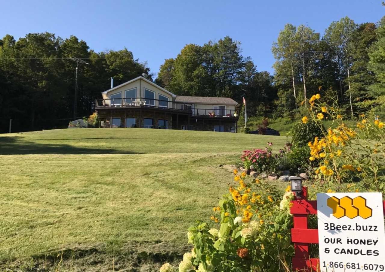 Our Valley View Bed & Breakfast ハンプトン エクステリア 写真